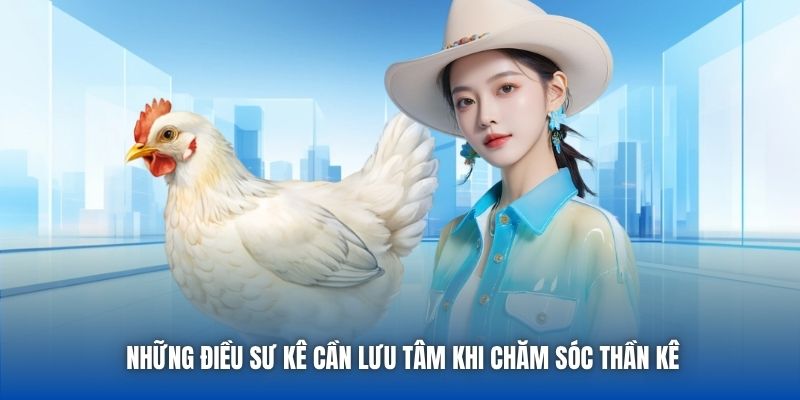 Những điều sư kê cần lưu tâm khi chăm sóc thần kê