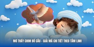 Mơ Thấy Chim Bồ Câu - Giải Mã Chi Tiết Theo Tâm Linh